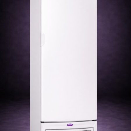 Exhibidora vertical Baja temperatura Inelro BT19C